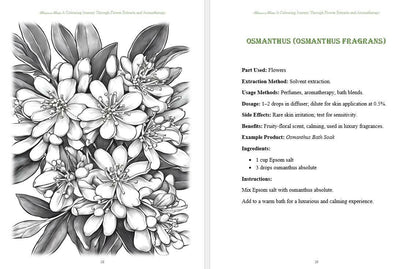 Blossom to bottle: A Colouring Journey Through Flower Extracts and Aromatherapy