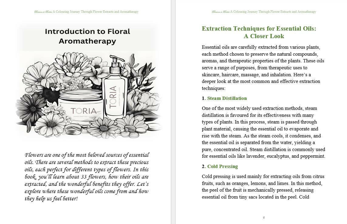 Blossom to bottle: A Colouring Journey Through Flower Extracts and Aromatherapy