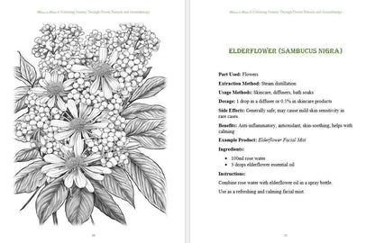 Blossom to bottle: A Colouring Journey Through Flower Extracts and Aromatherapy