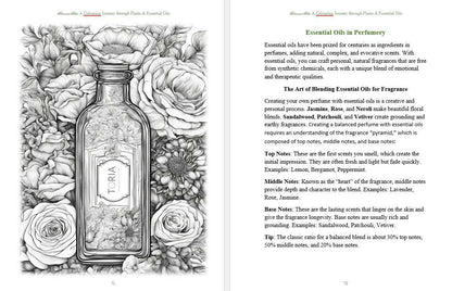 Botanical Bliss:  A Colouring Journey Through Plants & Essential Oils